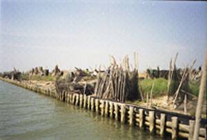 Delta del Po